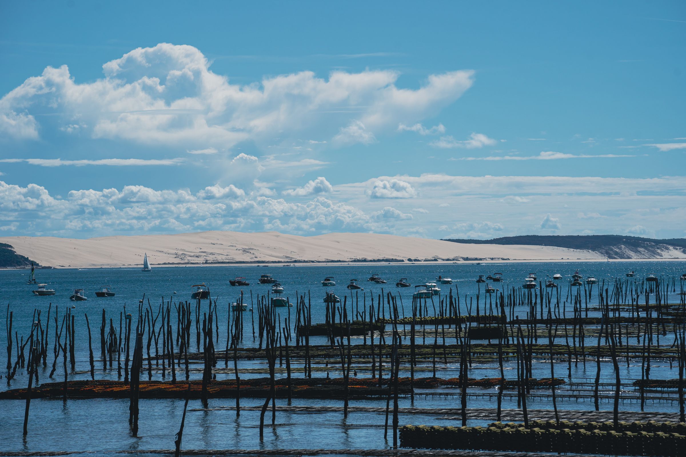 Parcs à huîtres du Bassin d'Arcachon, la dune du Pilat à l'horizon